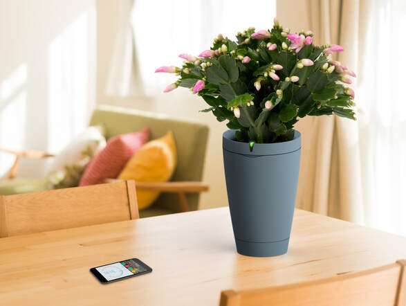 Power Pot Smart Flower Pot