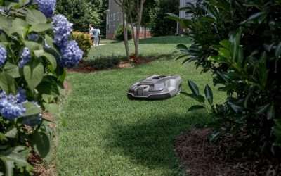 The best robot lawn mowers for 2021