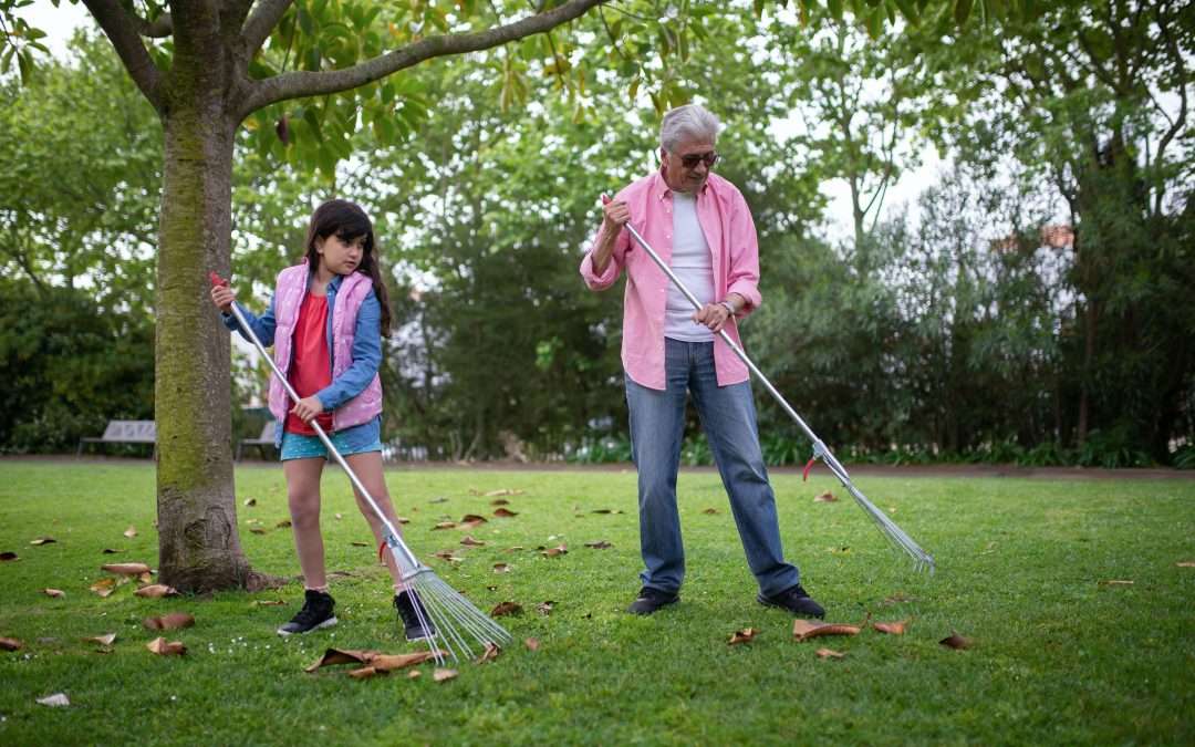 Grandpa and Granddaughter raking the lawn in autumn