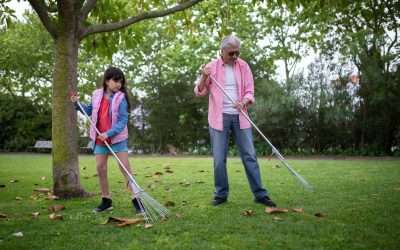 Lawn care mistakes to avoid this autumn