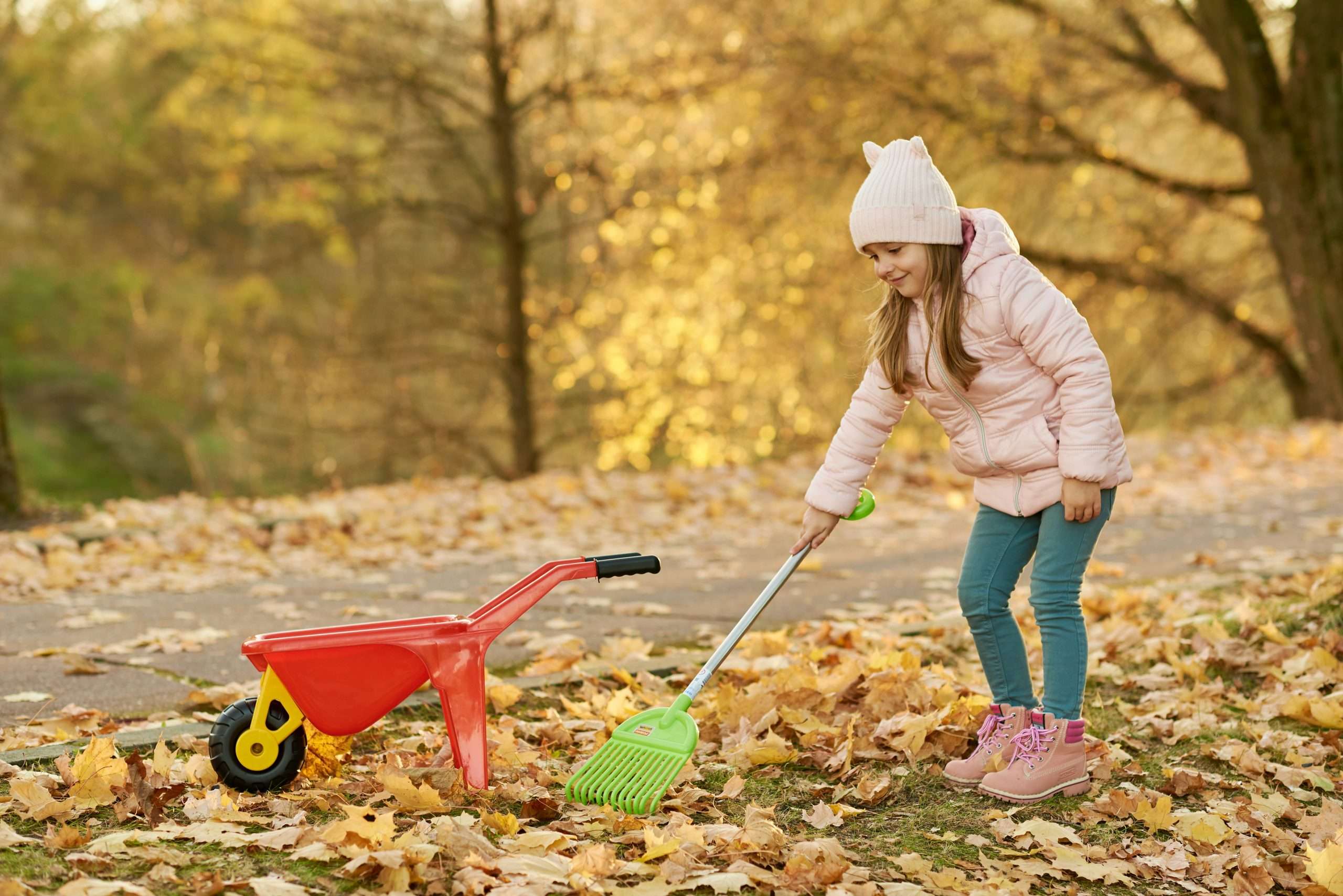 child raking autumn leaves