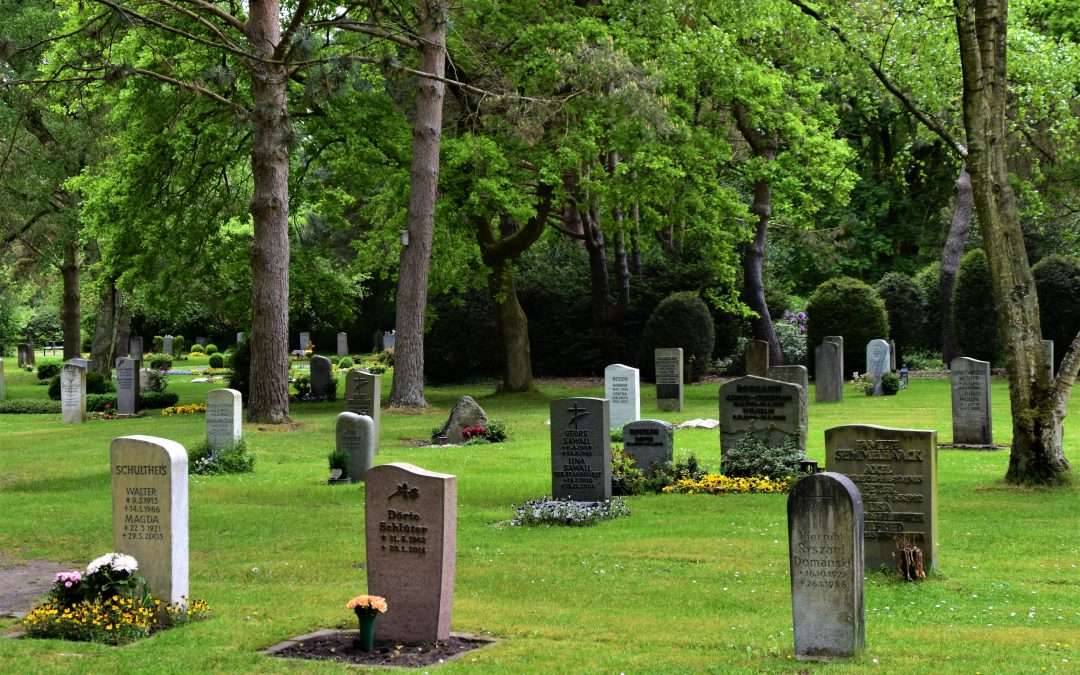 Robotic Lawn Mowers for Cemetery Grounds Management: What You Need to Know