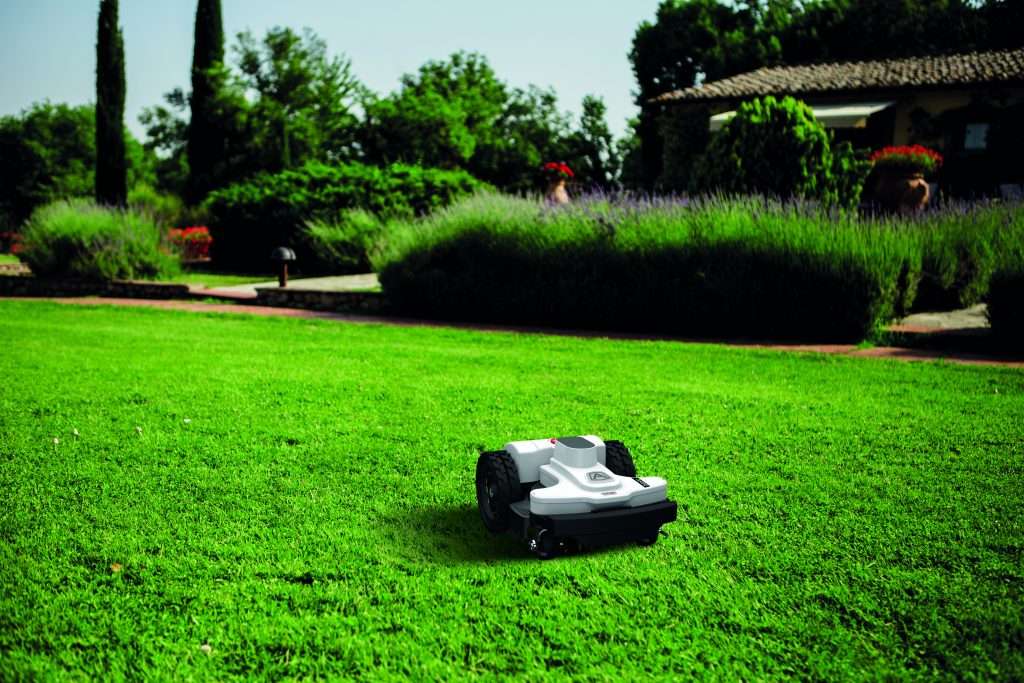 grass types and robotic lawn mowers
