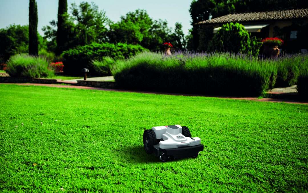 grass types and robotic lawn mowers