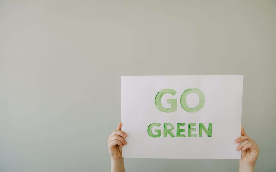 How to implement a corporate green initiative
