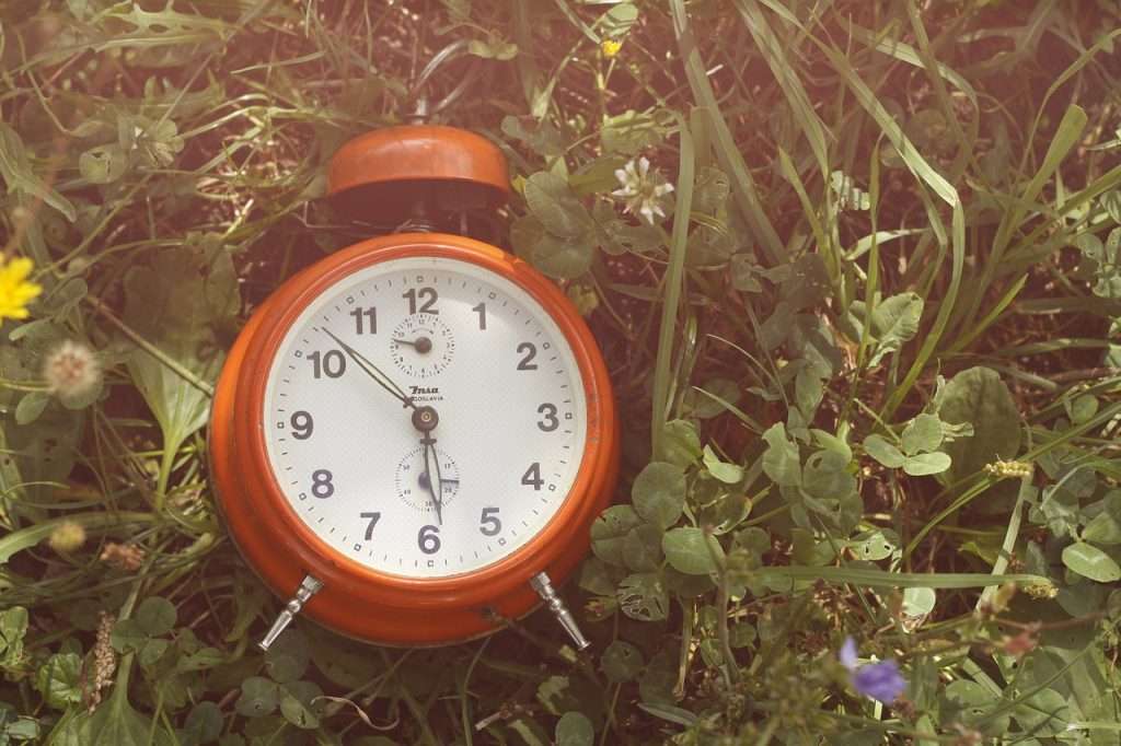 alarm clock lying in grass