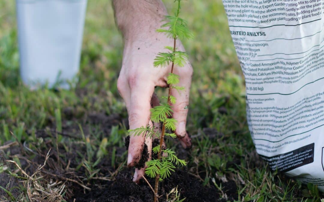 Autmow’s Roots for Change Tree Planting Program