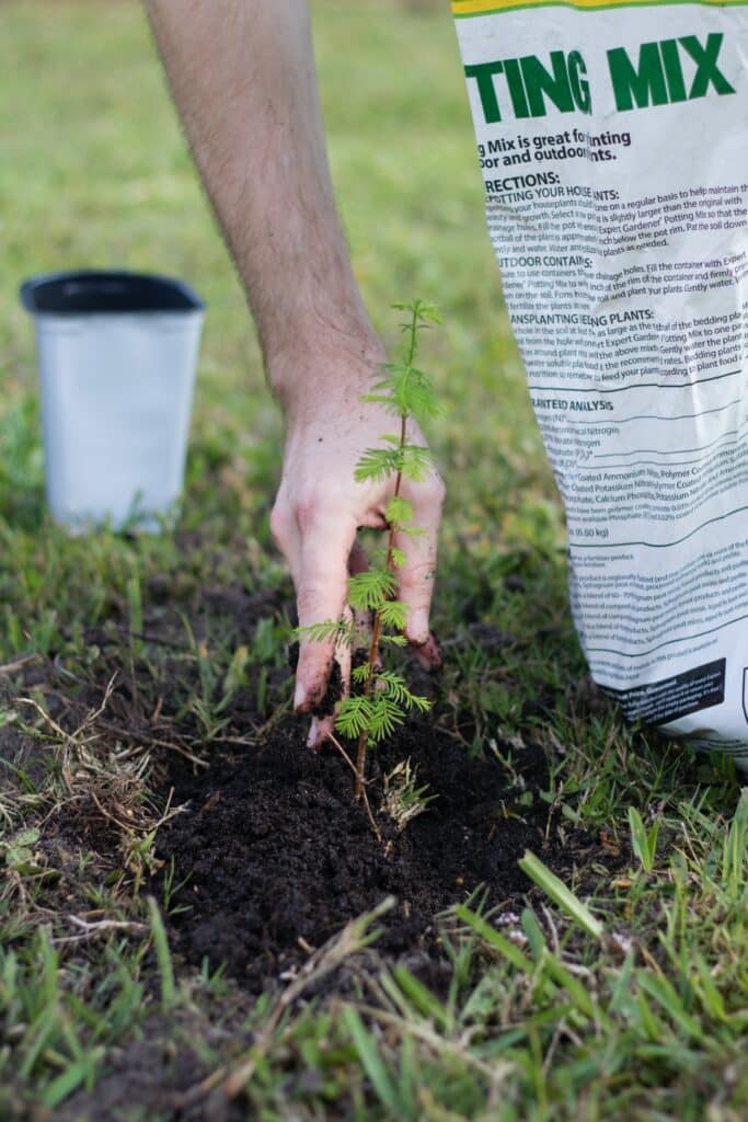 With the Autmow Roots for Change program, we plant one tree for every robotic mower we sell.